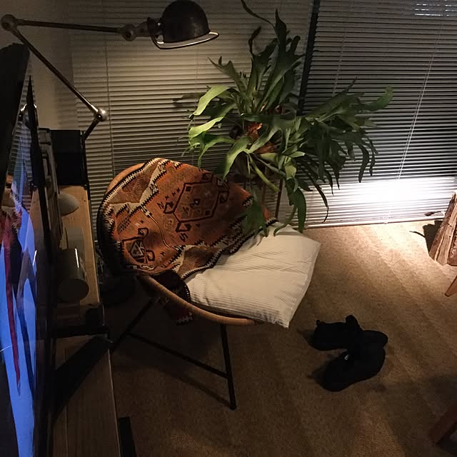 piyohopさんの実例写真