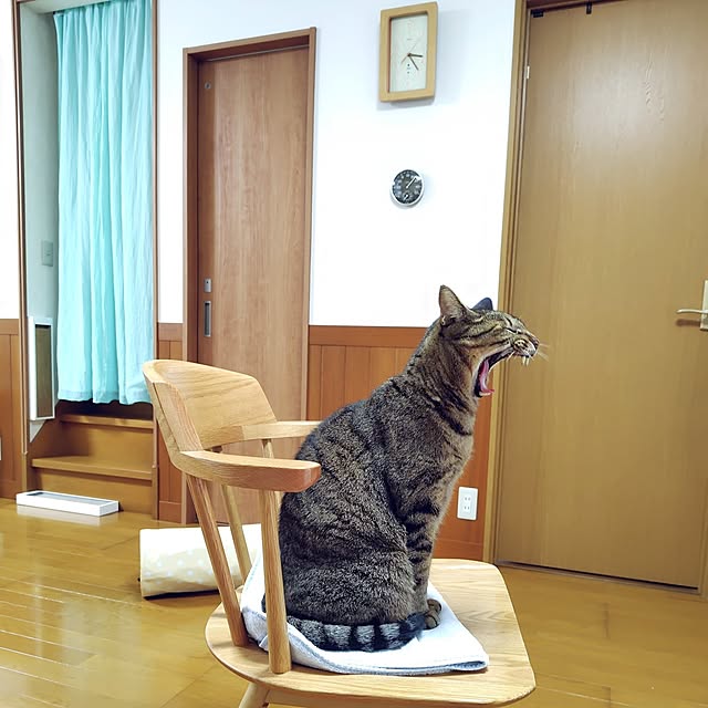 nachiさんの部屋