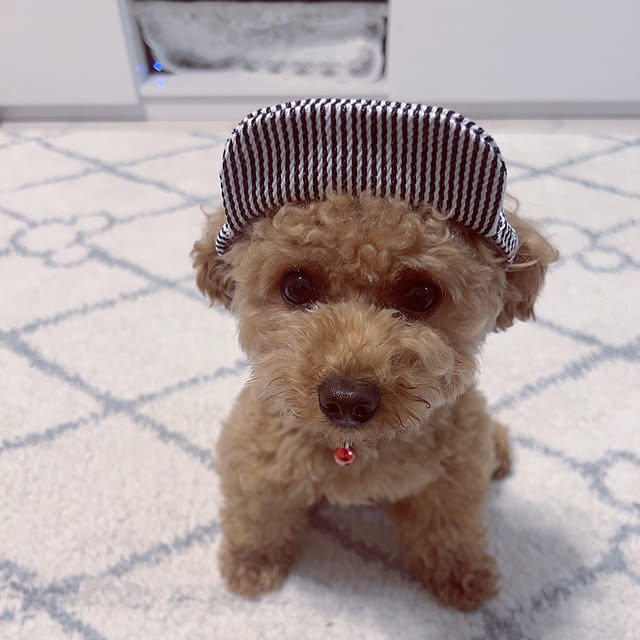 makiさんの実例写真