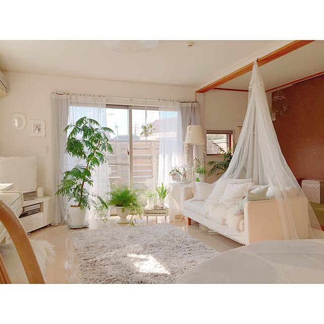 Rさんの実例写真