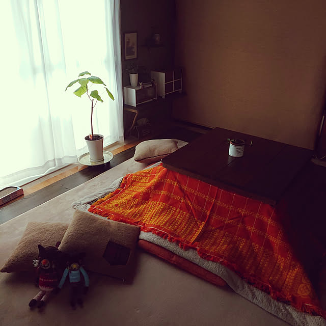 fukuさんの実例写真