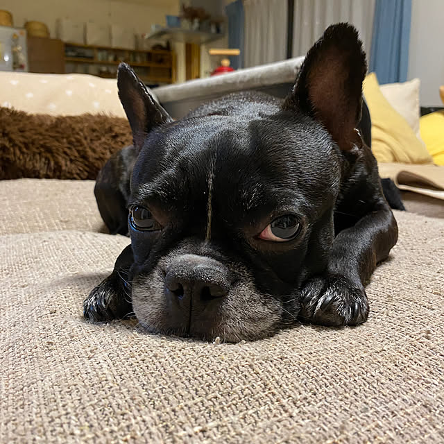 kotaroさんの部屋