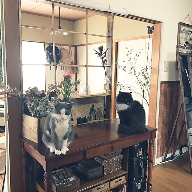 mucc08さんの実例写真