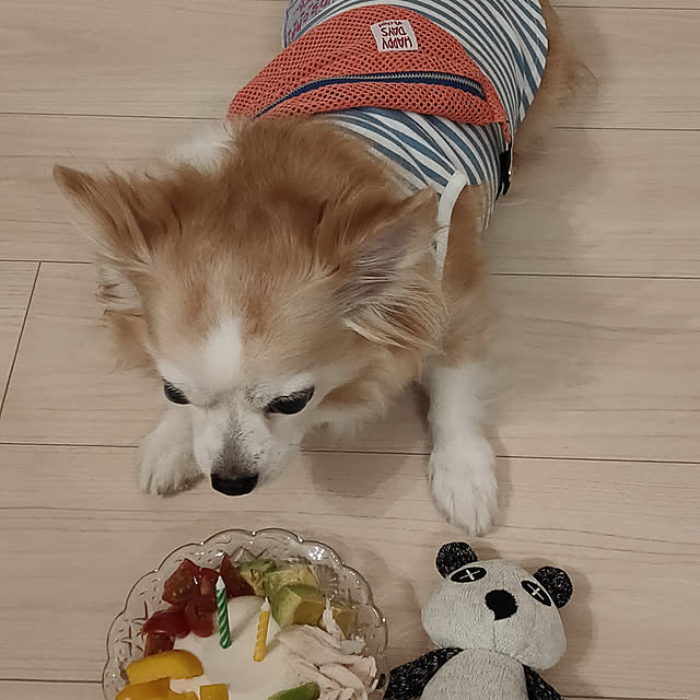 実例写真