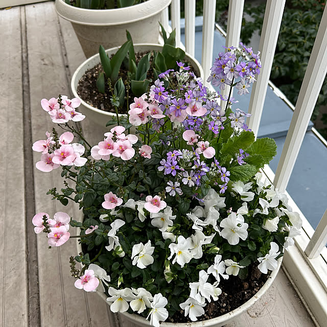 fumikoiさんの実例写真