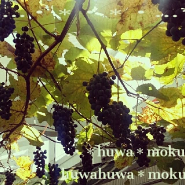 huwahuwa.mokumokuさんの実例写真