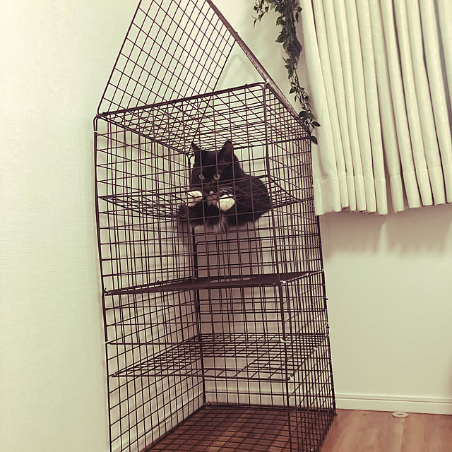 Asukaさんの実例写真
