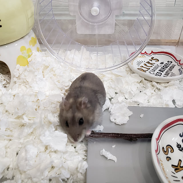 BAZさんの実例写真