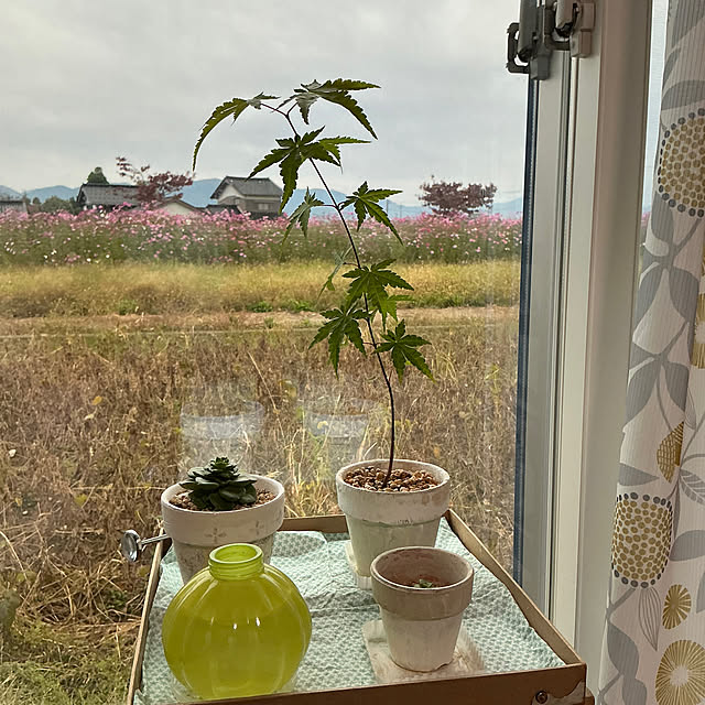 chiiyanさんの部屋