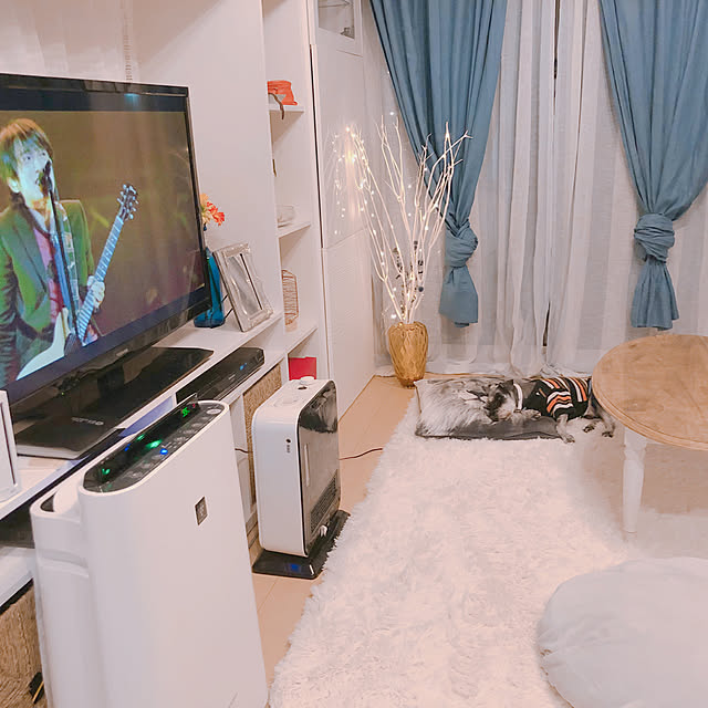 ametoyuki04さんの実例写真