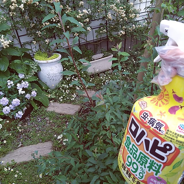 komari-usagiさんの実例写真