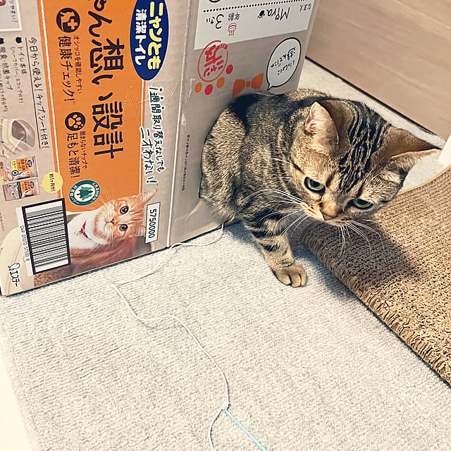 karinさんの部屋