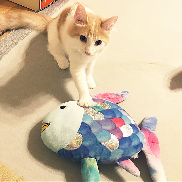 Ri-pochaさんの実例写真