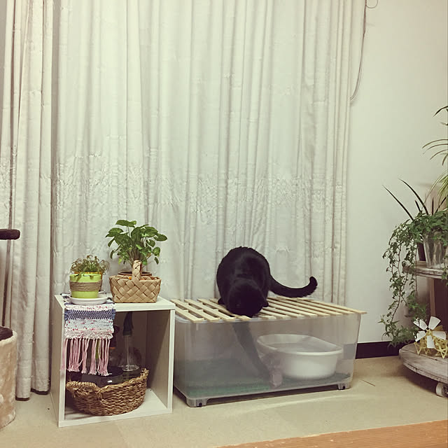 nanaさんの実例写真