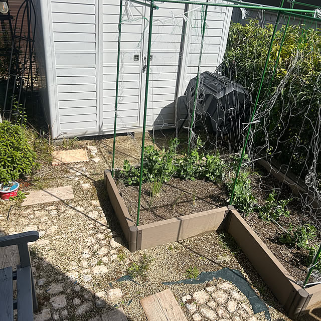 chiyukouさんの部屋