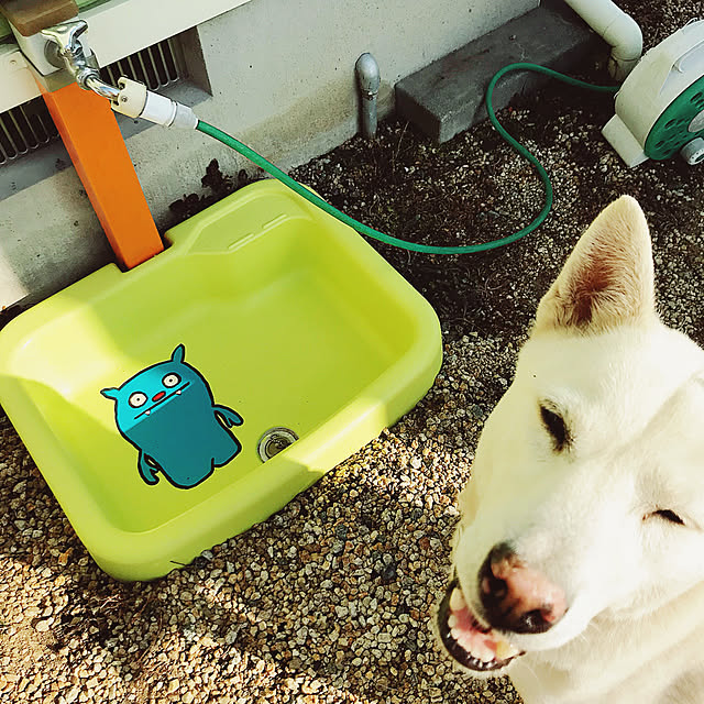 meさんの実例写真