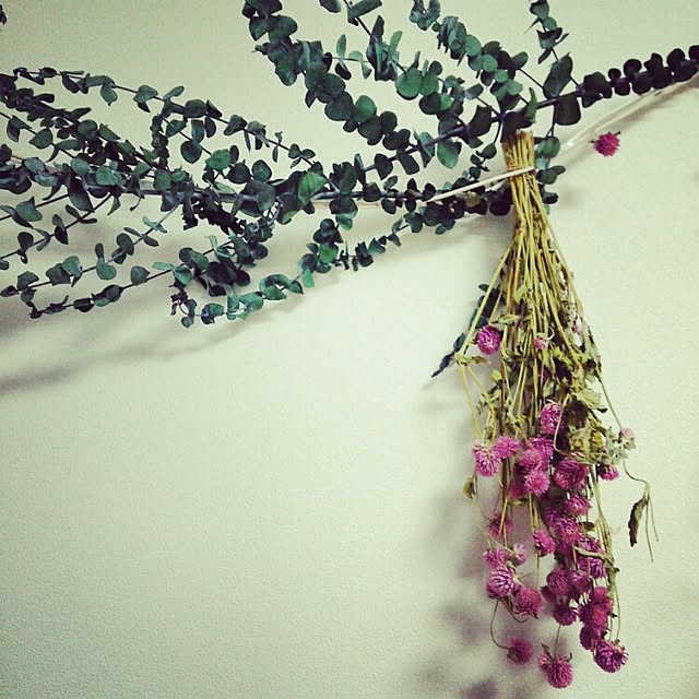 Moeさんの実例写真