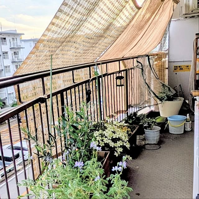 mi-saさんの部屋