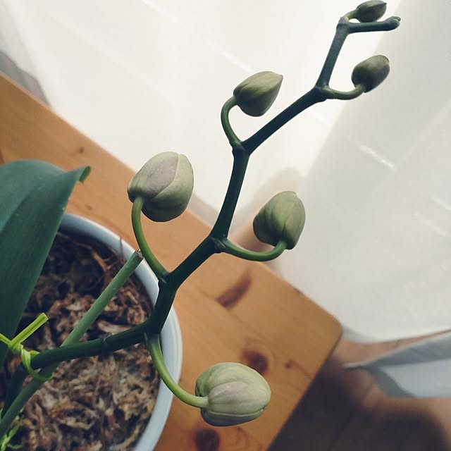 tan5さんの部屋