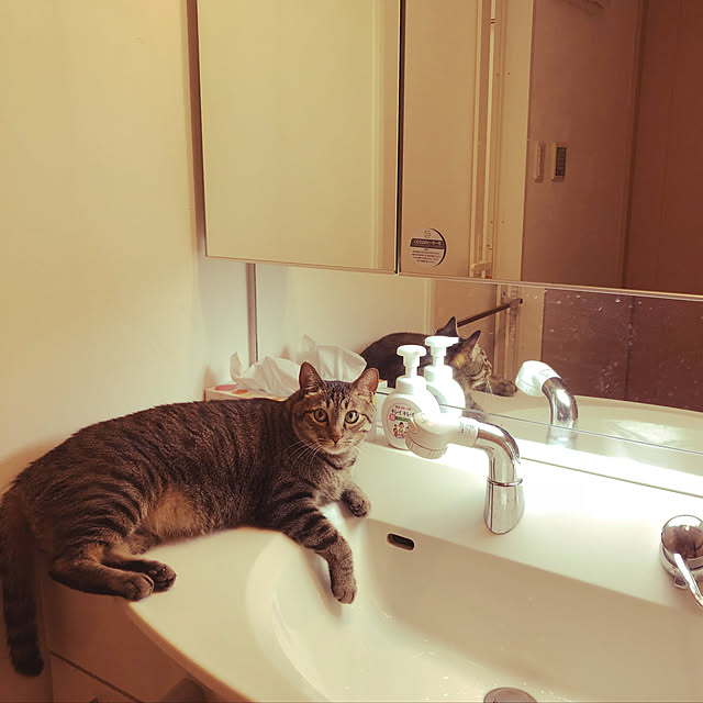 ringoandyuzuさんの実例写真