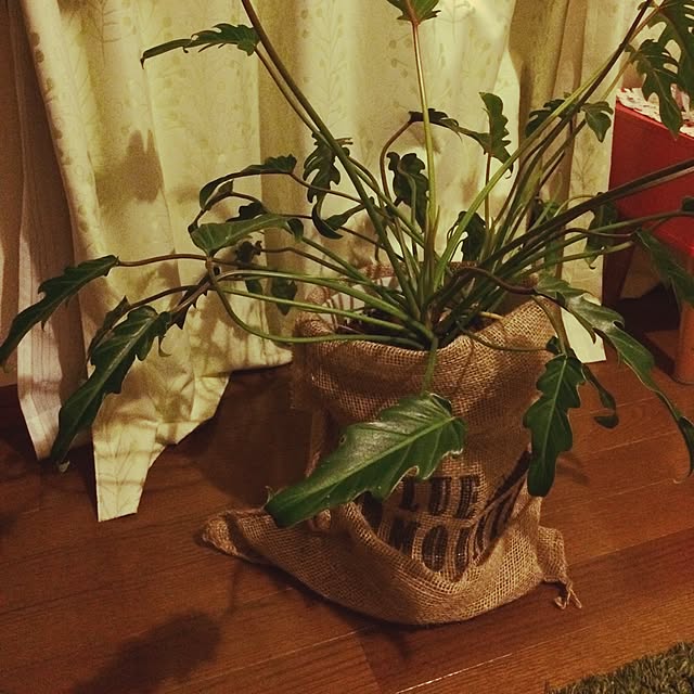 tomonon0812さんの実例写真
