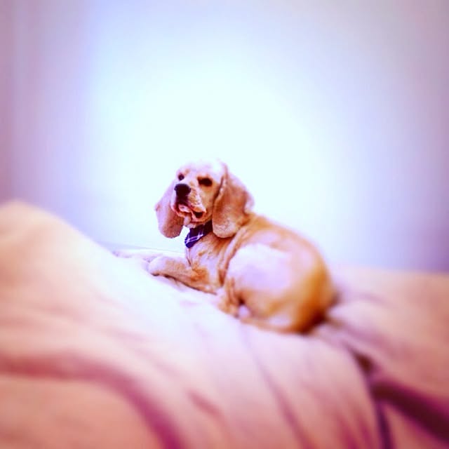 emiさんの実例写真
