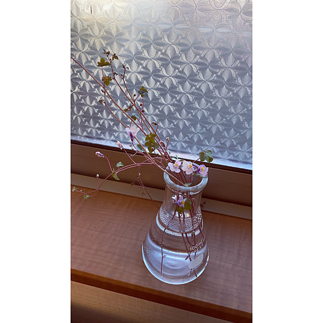 meguko.ryanさんの実例写真
