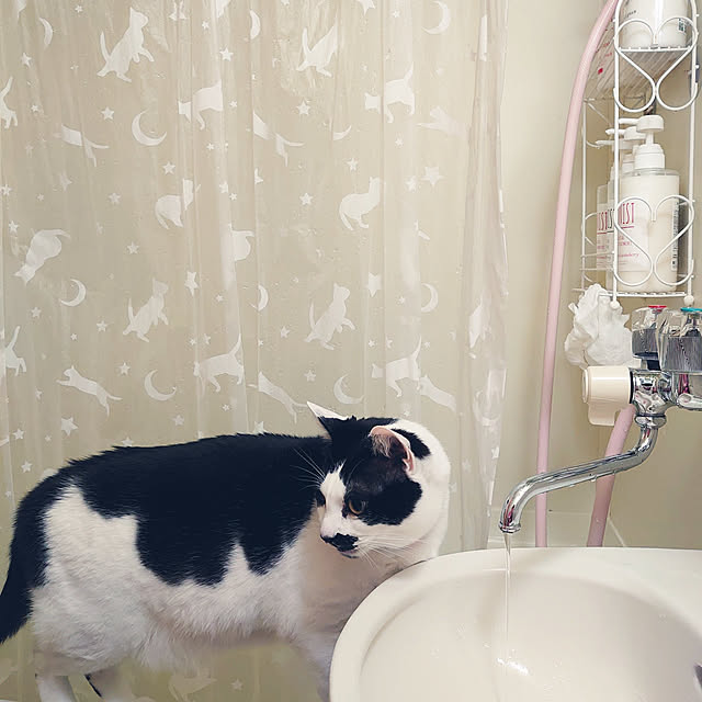 asuminさんの実例写真