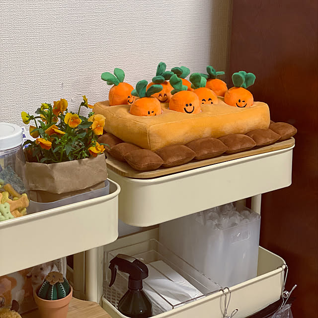 ohanaさんの実例写真
