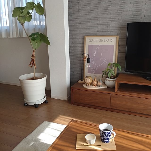 tan5さんの実例写真