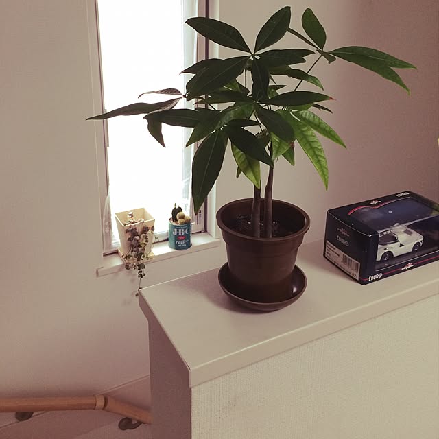sarry0322さんの実例写真