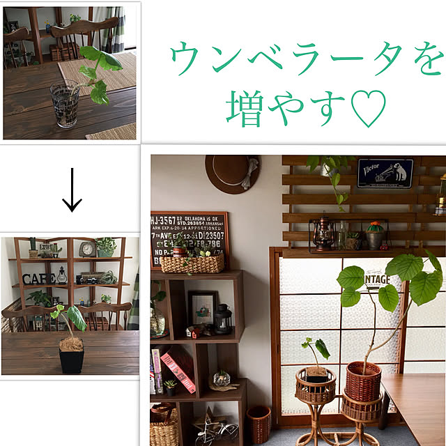 mugijunさんの実例写真