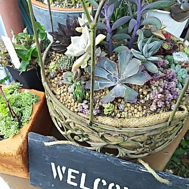 INDOORさんの実例写真