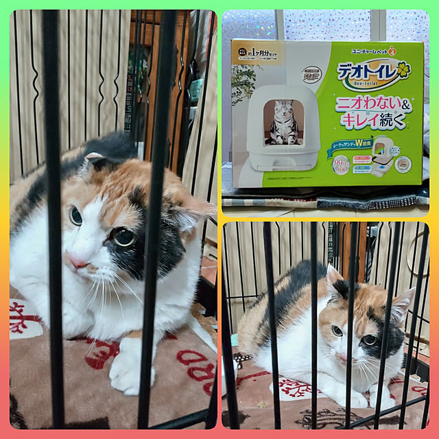 nanaさんの実例写真