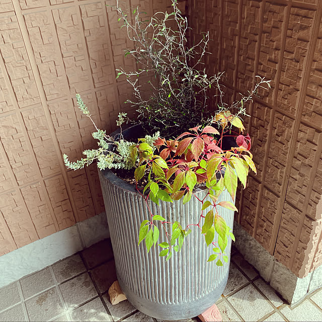 YUKIさんの実例写真