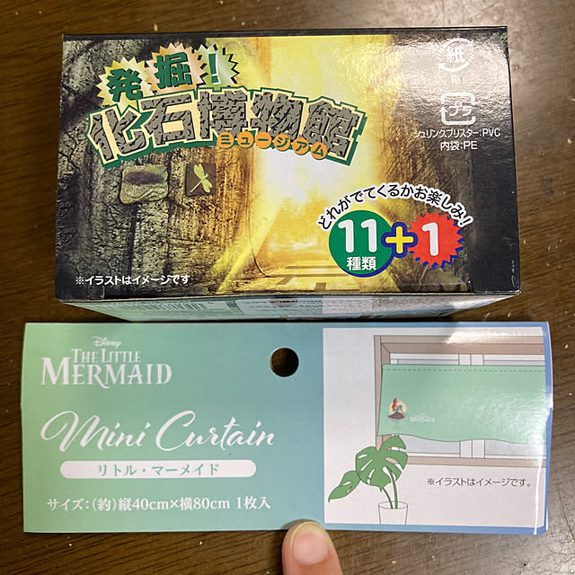 manduonmaさんの部屋