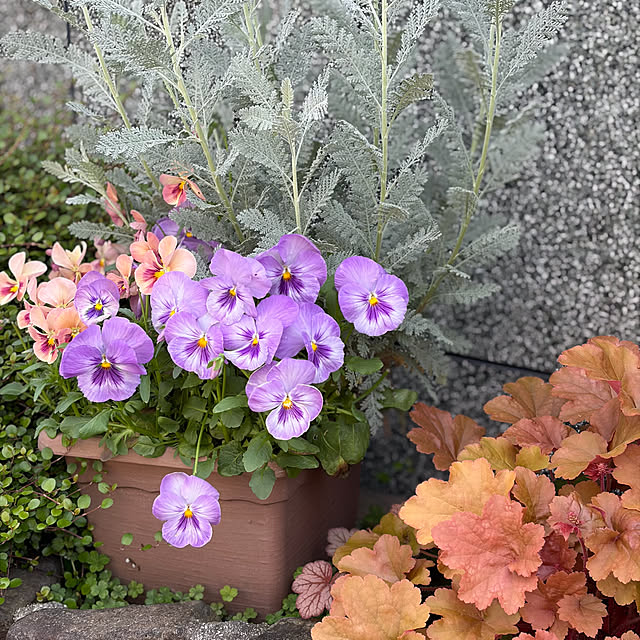 buchiさんの部屋