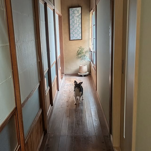 kuririnmamaさんの実例写真
