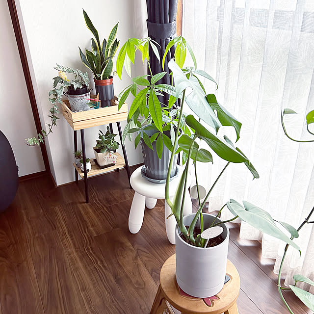 kiyoeさんの部屋