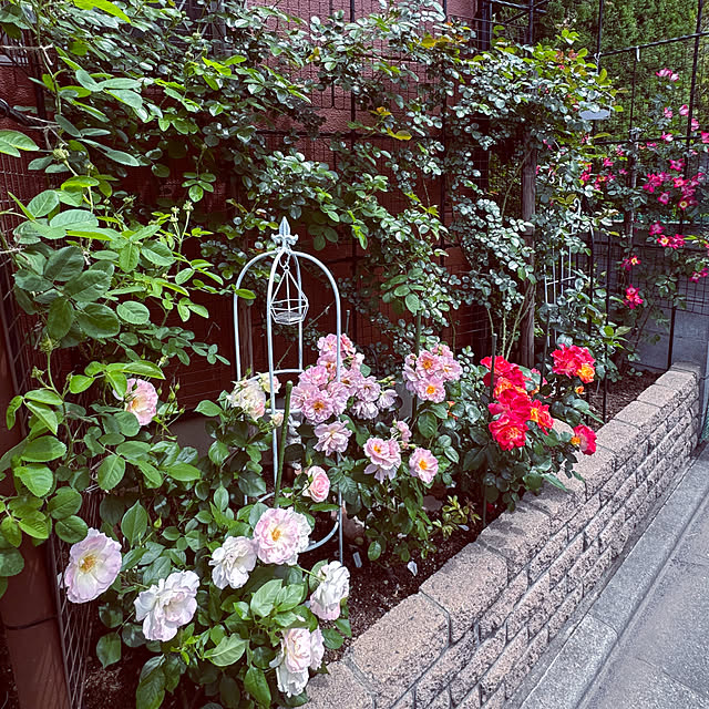 RoseLife5818さんの実例写真
