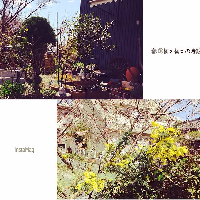 20rose_mamiさんの実例写真