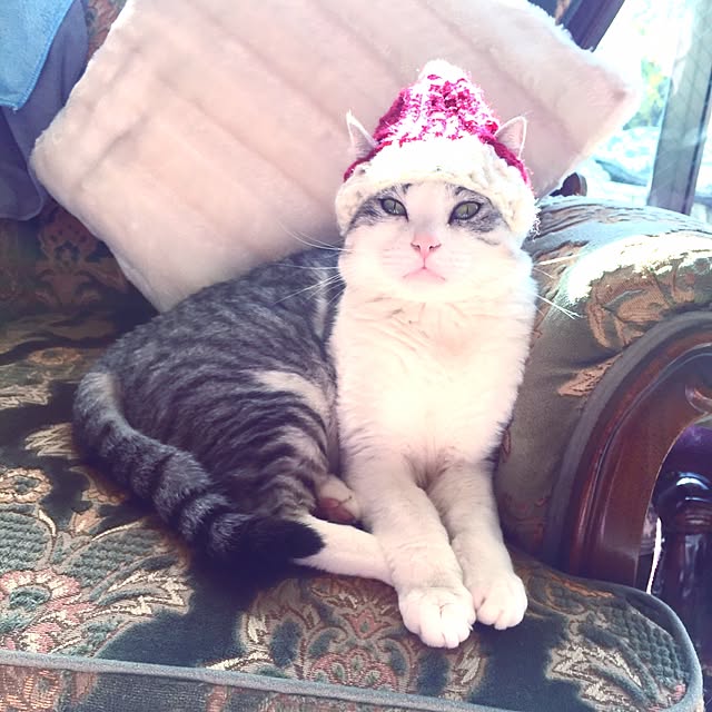emmyyさんの実例写真