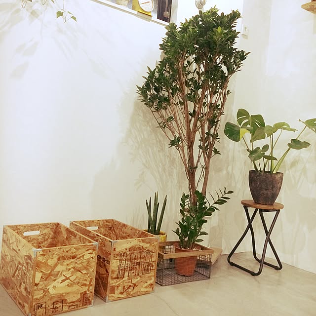 chairgreenさんの実例写真