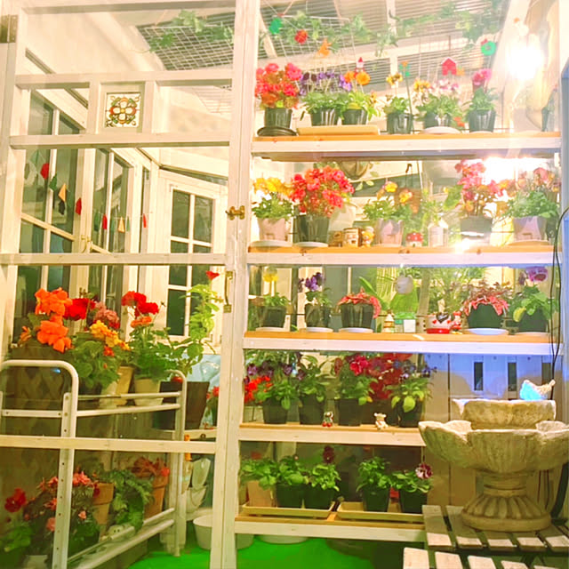 HappyRoseさんの実例写真
