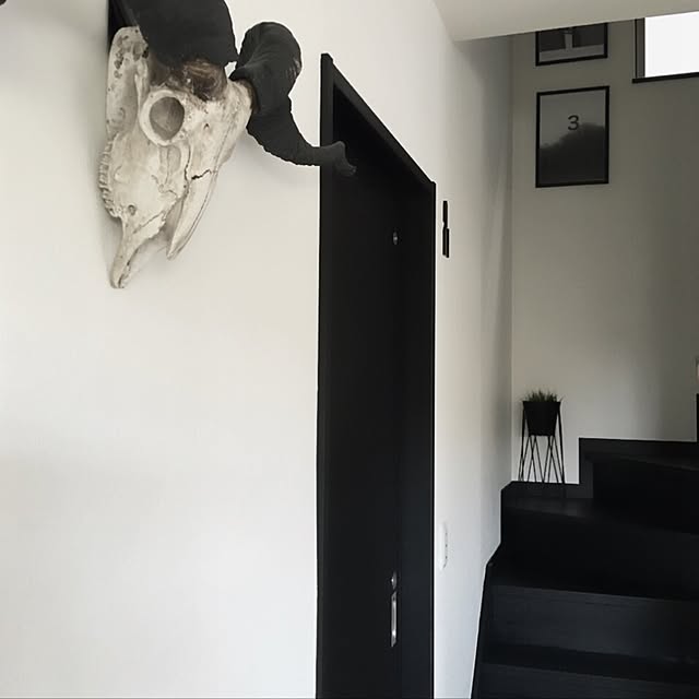aika.h.m.kさんの実例写真