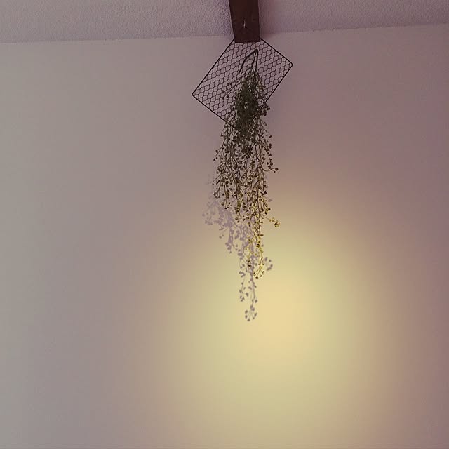 Ayumiさんの実例写真