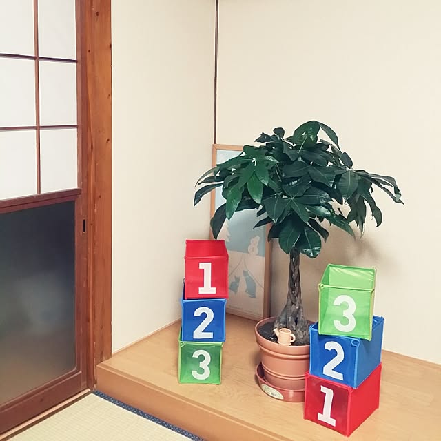 hana.1321jpさんの実例写真