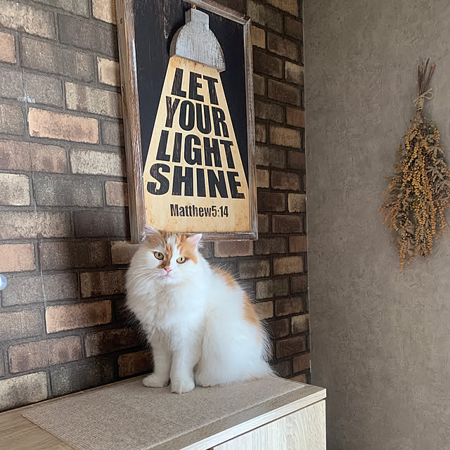 keiさんの実例写真
