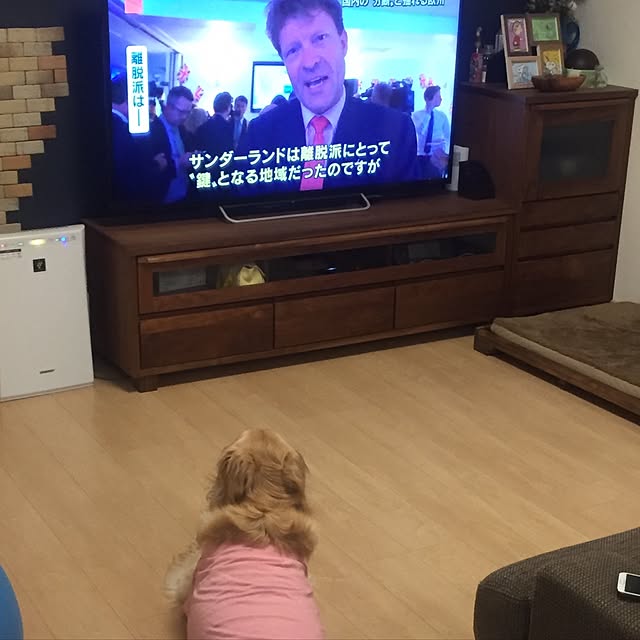 Kazueさんの実例写真