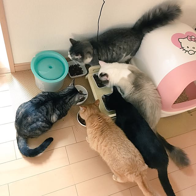 mjuziさんの実例写真